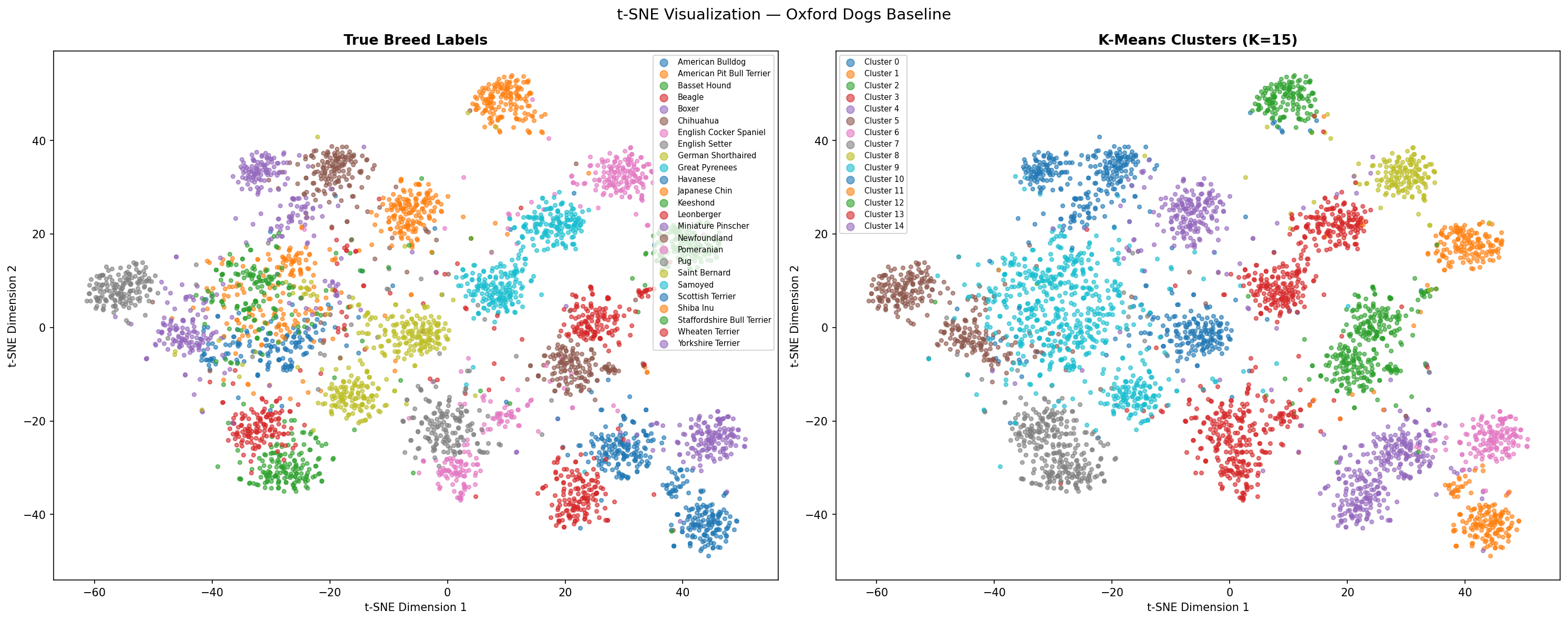 t-SNE visualization of ResNet 18 features on Oxford Dogs